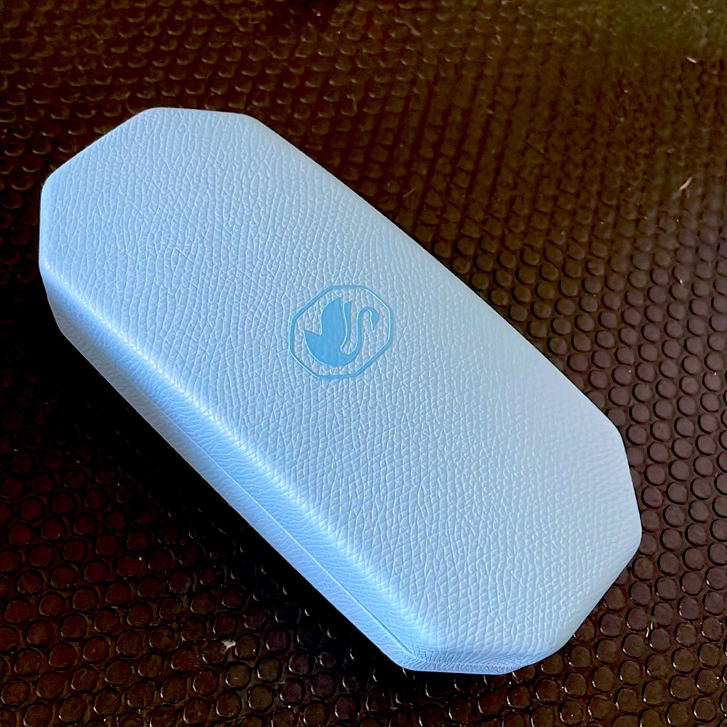 Authentic Sunglasses Case.